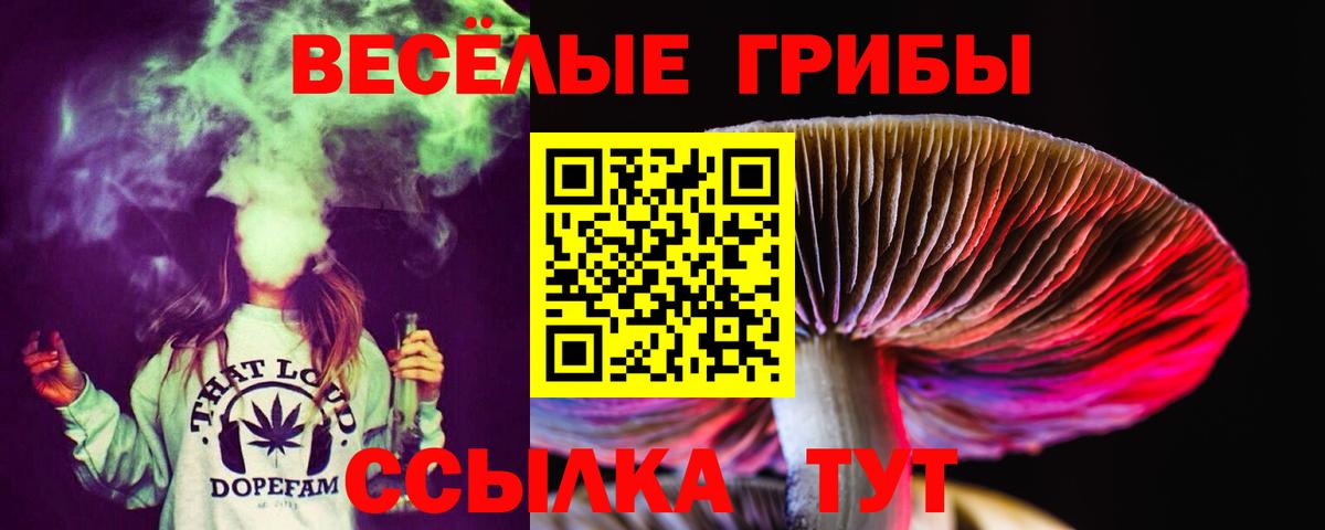 Псилоцибиновые грибы мицелий Ханты-Мансийск